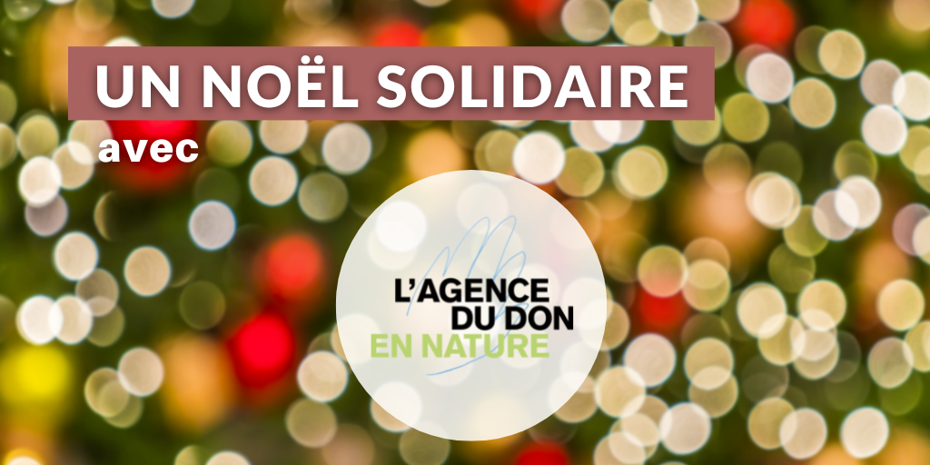 Noël Solidaire 2022 : une vingtaine d'entreprises engagées avec l'Agence du Don en Nature